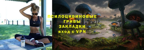 ПСИЛОЦИБИНОВЫЕ ГРИБЫ Алексин