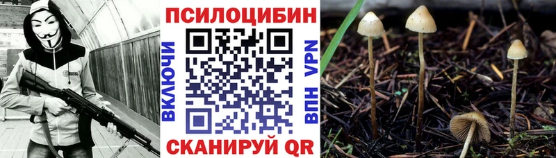 Галлюциногенные грибы Magic Shrooms  Анива 